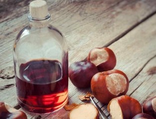 A tincture of the chestnut
