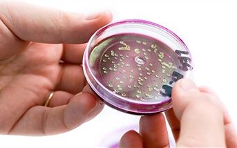 Bacteria in prostatic secretions